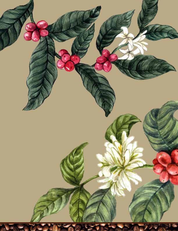 Imagen ilustrativa de Repostería